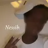 nxss_.01