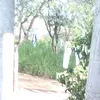 usuario123466833