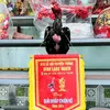 truonghoang6391