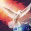 seraphim776