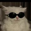 kitam_kz