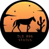 TLS 096 STATUS