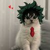 los_tenis_de.deku
