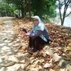 uum596