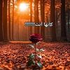 user8810800911879