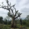minh_lap_23