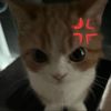 nat_9228