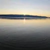 illybro10
