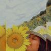 reynadegirasoles1