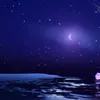user7u001oecu6
