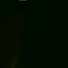 tzbvl
