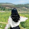 luviespp__11