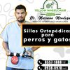 dr_marianovet