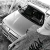 igor_belov27