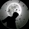 user443137758