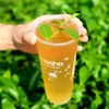 zaocha.viet.nam