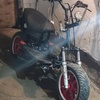 tanaev750