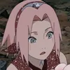 sakura.haruno._0
