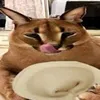 _rik25_