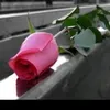 rahafahmad371