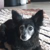 titch4272