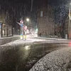 oscar_g64