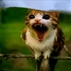 dkdkdkkdkdkd25