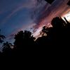 pallo_001