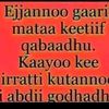 oromiyaa.biyyi.koo