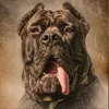 max_the_mad_max