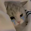 cika_ah