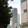 damarcenel_2