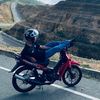 pitek20_