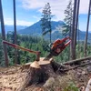 bavarianlumberjack
