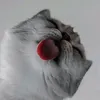 qnozeee_