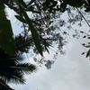 rikanurhayati719