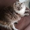 princesslulu55
