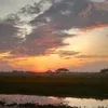 linaruss30