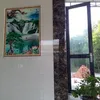 duongnguyen65573