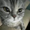 chichofficial