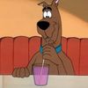 ______scooby