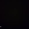 madar_0