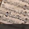 user8147006810252