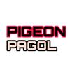 pigeonking00