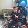tri_setyo_anang