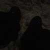 flosslikeaboss69