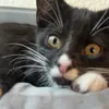 thelittlestghoul