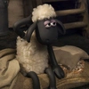 sheep_7_mau