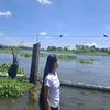 nannngwesinhtet