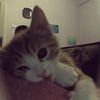 francheska.rubiio